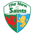 The New Saints FC